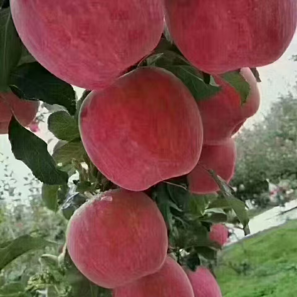 微信图片_20241219114704.jpg 微信图片_20241219114704.jpg